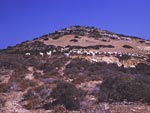 Antiparos
