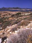 Antiparos