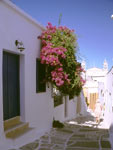 Paros