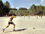 Foot dans les eucalyptus